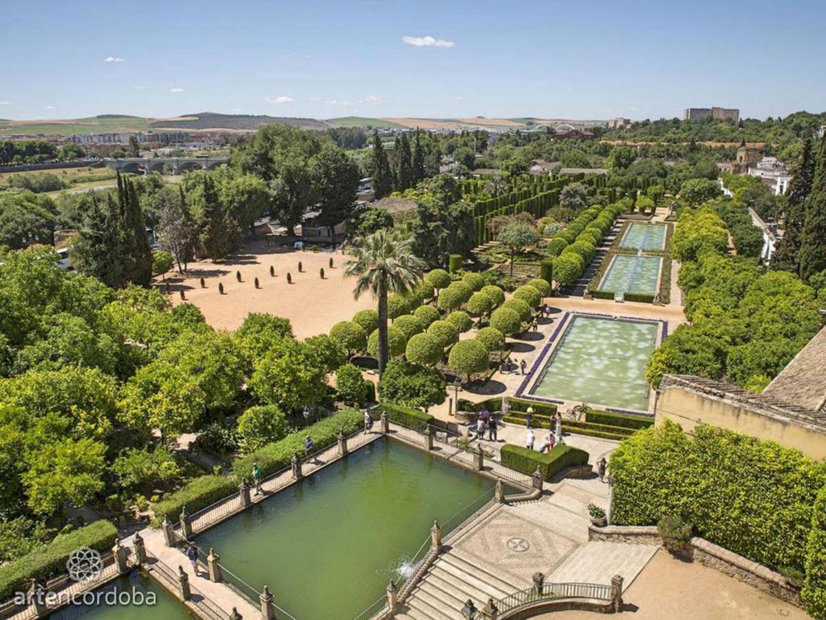 Mezquita De Apartment Cordoba